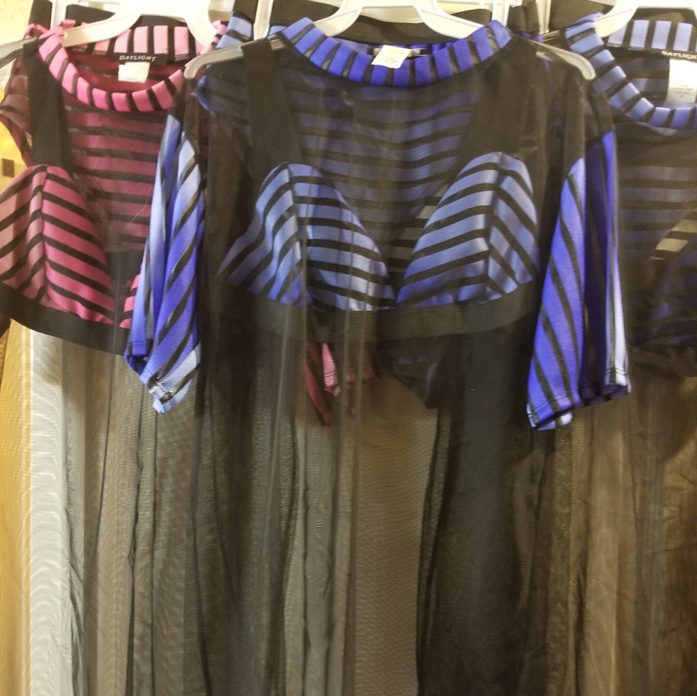 Swim Suit with sheer top.